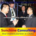 cosulting service / business consulting in china